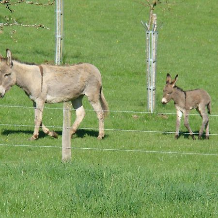 Gite De La Cour Campandre-Valcongrain Екстер'єр фото